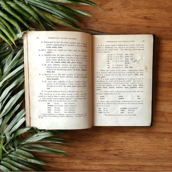 Vintage 1924 Elementary Spanish Grammar by Espinosa & Allen – Hardcover - Picture 9 of 13